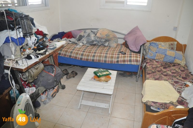 lud family boor (3).JPG